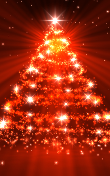 20000 Cây Thông  ảnh Giáng Sinh miễn phí  Pixabay