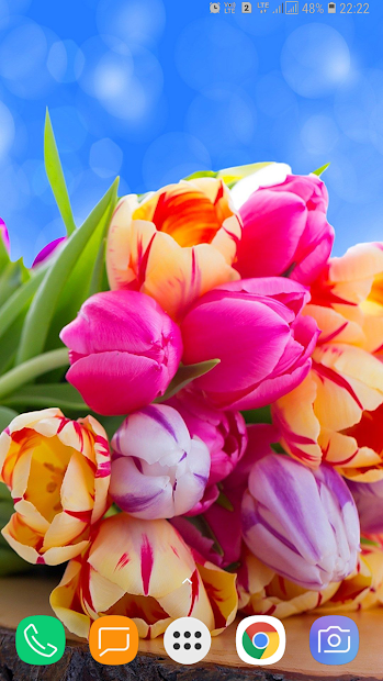 Screenshots Flower Wallpaper - Tổng hợp hình ảnh các loại hoa