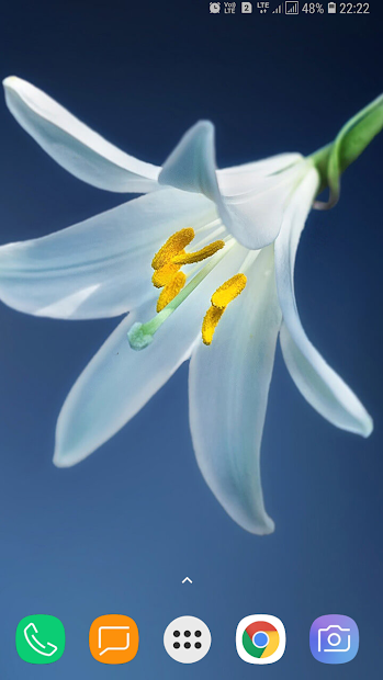 Screenshots Flower Wallpaper - Tổng hợp hình ảnh các loại hoa