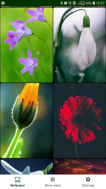 Screenshots Flower Wallpaper - Tổng hợp hình ảnh các loại hoa