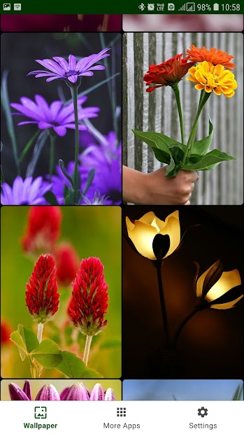 Screenshots Flower Wallpaper - Tổng hợp hình ảnh các loại hoa