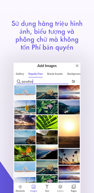 Screenshots Desygner: Ghép chữ vào ảnh, thiết kế ảnh theo mẫu có sẵn