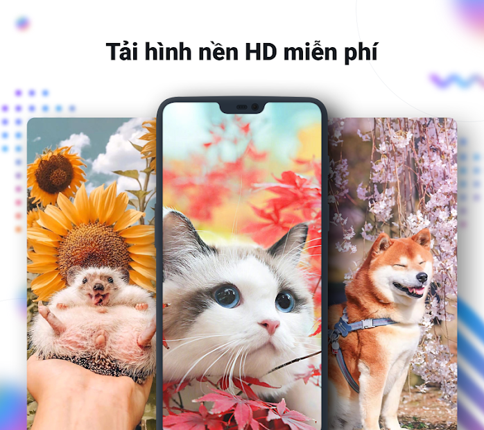 Top 99+ hình nền iPhone 12 - hình nền iPhone 12 Pro Max