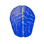 Kiểm tra logic - IQ: Game giải đố trí tuệ