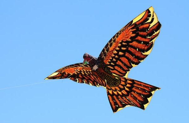 Screenshots Thiết kế diều: Những con diều mới lạ