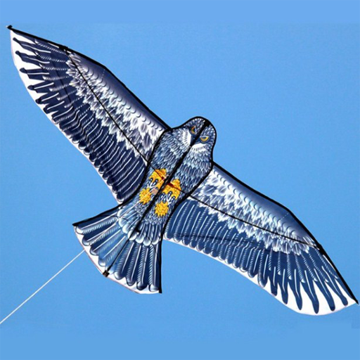 Screenshots Thiết kế diều: Những con diều mới lạ