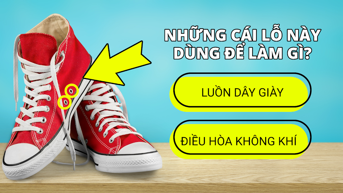 Screenshots Câu hỏi & Đáp án. Game đố vui miễn phí: QuizzLand