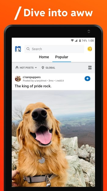 Screenshots Reddit - Ứng dụng diễn đàn thông tin và giải trí