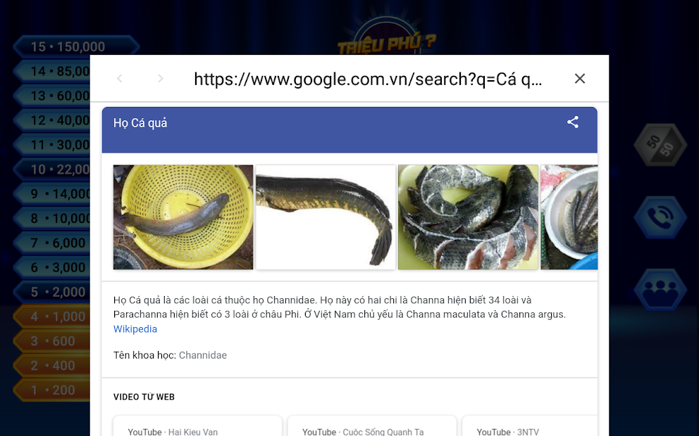 Screenshots Trieu Phu Online – chơi game Ai Là Triệu Phú ngay trên điện thoại