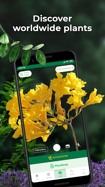 Screenshots PlantSnap: App nhận diện cây, xác định tên loại hoa bằng trí tuệ nhân tạo