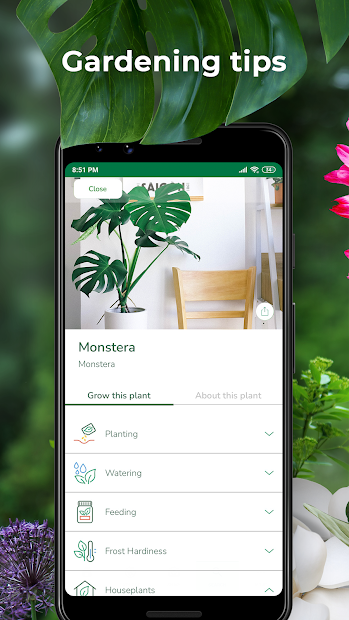 PlantSnap: App nhận diện cây, tìm tên loại hoa bằng trí tuệ nhân tạo