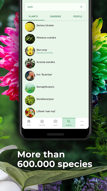 PlantSnap: App nhận diện cây, tìm tên loại hoa bằng trí tuệ nhân tạo
