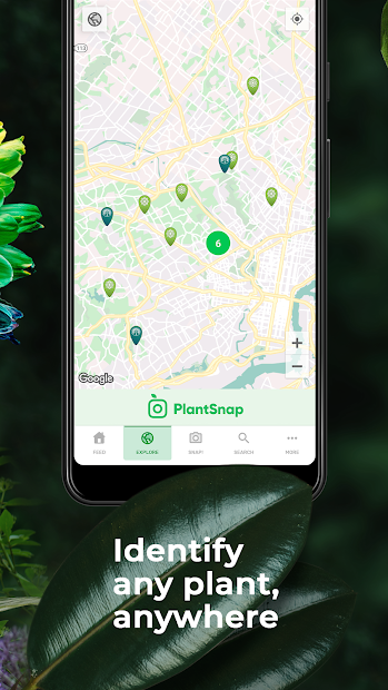 Screenshots PlantSnap: App nhận diện cây, xác định tên loại hoa bằng trí tuệ nhân tạo