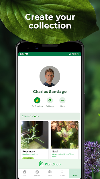Screenshots PlantSnap: App nhận diện cây, xác định tên loại hoa bằng trí tuệ nhân tạo