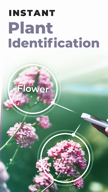 Screenshots PlantSnap: App nhận diện cây, xác định tên loại hoa bằng trí tuệ nhân tạo