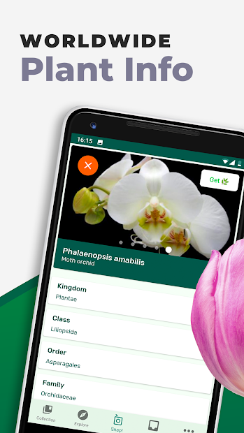 Screenshots PlantSnap: App nhận diện cây, xác định tên loại hoa bằng trí tuệ nhân tạo