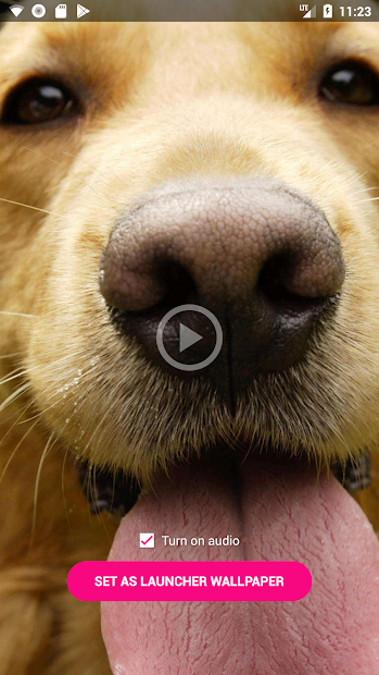 Screenshots Video Wallpaper - Ứng dụng cài hình nền video có tiếng, hình nền động