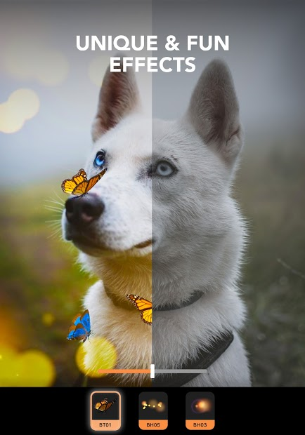 Screenshots Motionleap - App làm ảnh động hiệu ứng tan biến