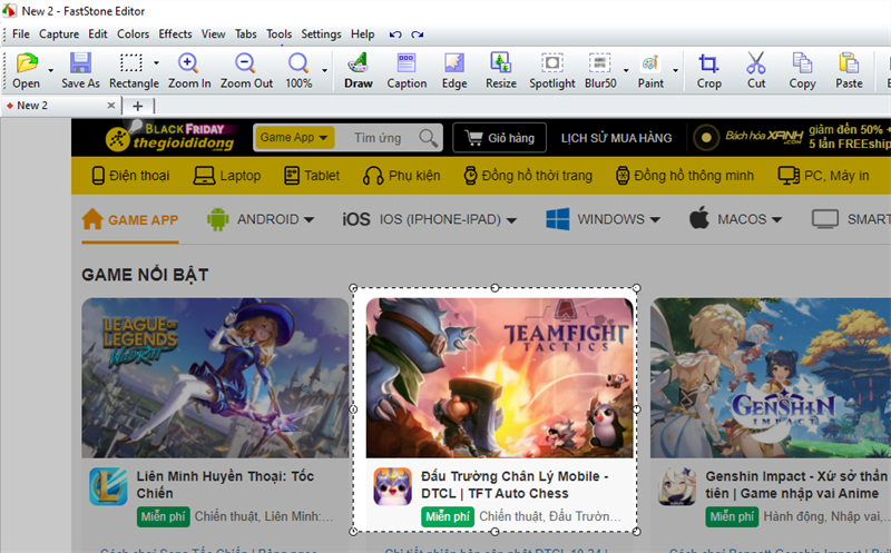 Screenshots Faststone Capture: Phần mềm chụp ảnh và quay video màn hình máy tính