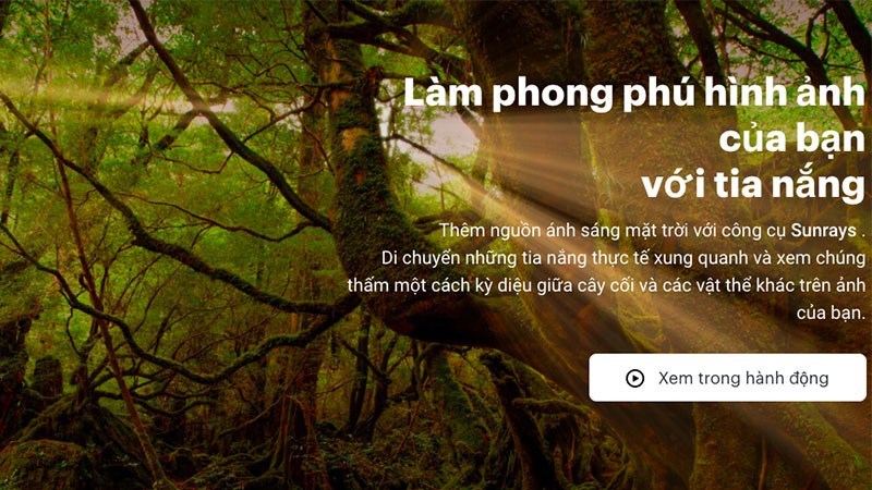 Screenshots Luminar 4 - Phần mềm chỉnh sửa ảnh trên MacBook, Windows chuyên nghiệp