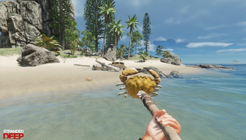 Screenshots Stranded Deep - Game phiêu lưu sinh tồn thế giới mở
