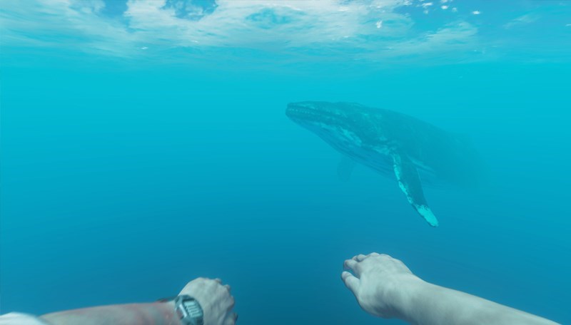 Screenshots Stranded Deep - Game phiêu lưu sinh tồn thế giới mở