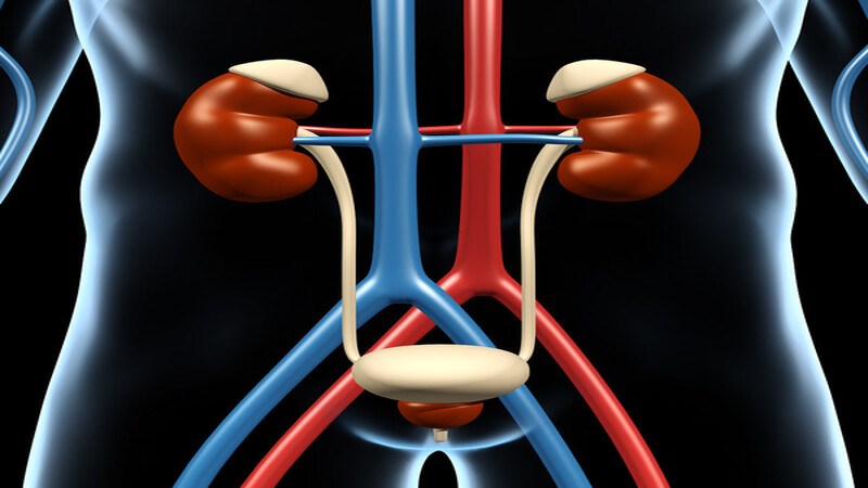 Lao hệ tiết niệu sinh dục phổ biến thứ 3 trong các loại lao ngoài phổi