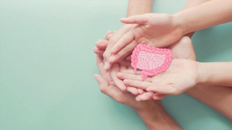 Hệ tiêu hóa chưa phát triển đầy đủ có thể là yếu tố gây ra hội chứng Colic