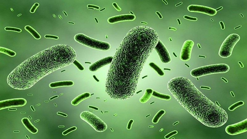 Lao màng não do vi khuẩn Mycobacterium tuberculosis gây ra Lao màng não do vi khuẩn Mycobacterium tuberculosis gây ra