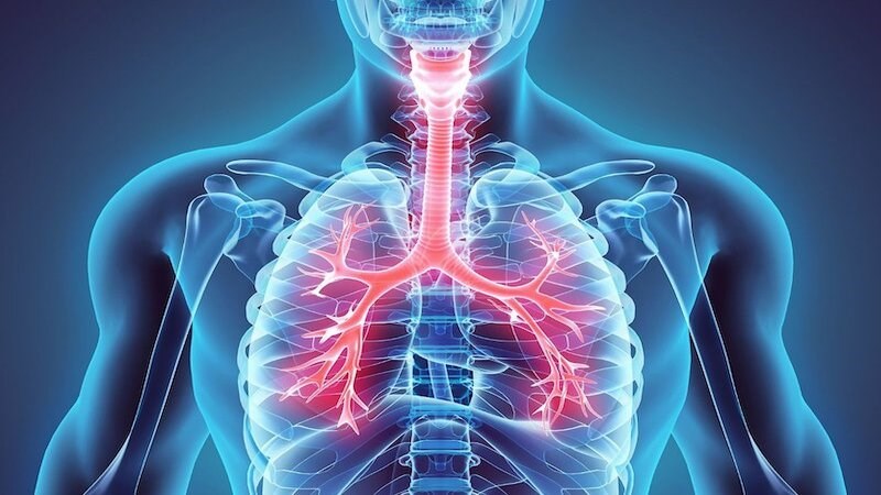 Suy đa tạng ảnh hưởng đến sự trao đổi khí của phổi