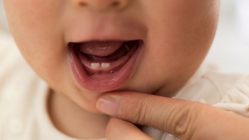 Bé sẽ mọc 2 chiếc răng cửa hàm dưới đầu tiên