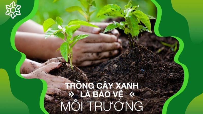 Cây xanh giúp hấp thụ khí CO2, hạn chế nguy cơ biến đổi hiệu ứng nhà kính