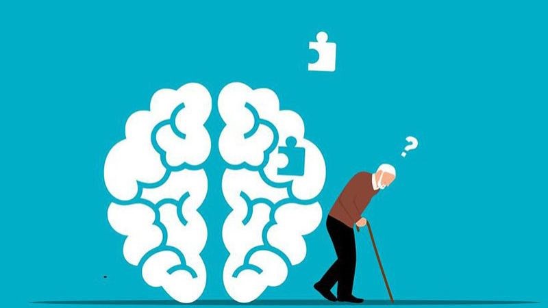 Ô nhiễm môi trường có thể dẫn đến suy giảm chức năng nhận thức