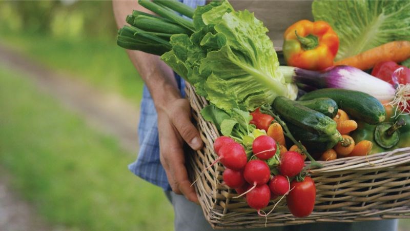 Ăn nhiều rau xanh có thể giúp bảo vệ cơ thể, hạn chế bệnh ung thư
