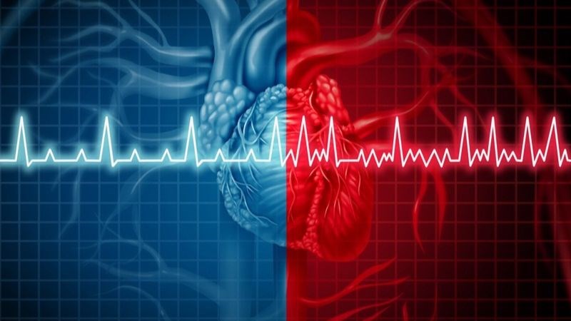 Bạn nên dừng tập luyện khi nhịp tim tăng nhanh