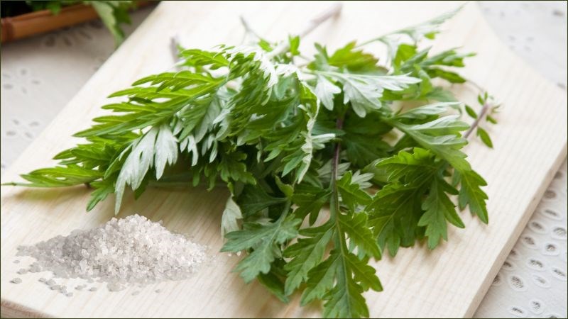 Rang ngải cứu với muối rồi dùng để chườm lên vùng khớp bị viêm