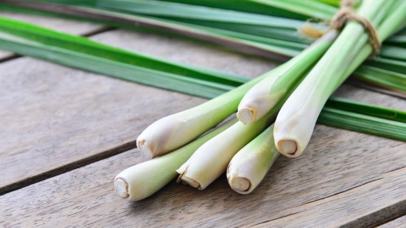 Củ sả thường được sử dụng để làm tăng hương vị cho món ăn Củ sả thường được sử dụng để làm tăng hương vị cho món ăn