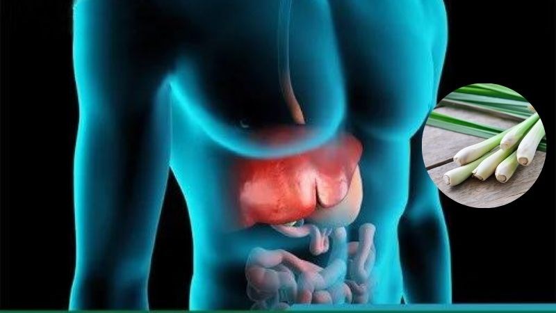 Sả kích thích quá trình loại bỏ độc tố gan nhờ đặc tính lợi tiểu Sả kích thích quá trình loại bỏ độc tố gan nhờ đặc tính lợi tiểu