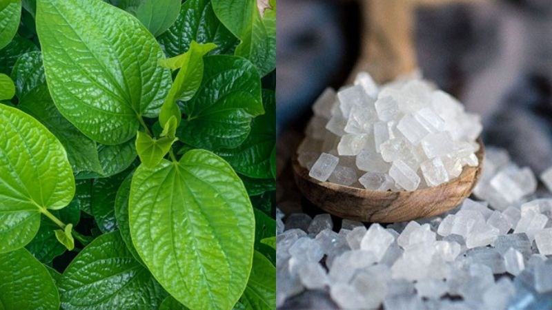 Sự kết hợp giữa trầu không và phèn chua giúp điều trị nhiễm khuẩn