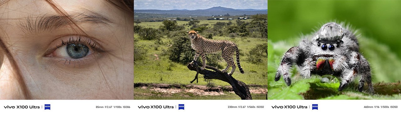 Hình ảnh được chụp từ camera Vivo X100 Ultra Hình ảnh được chụp từ camera Vivo X100 Ultra