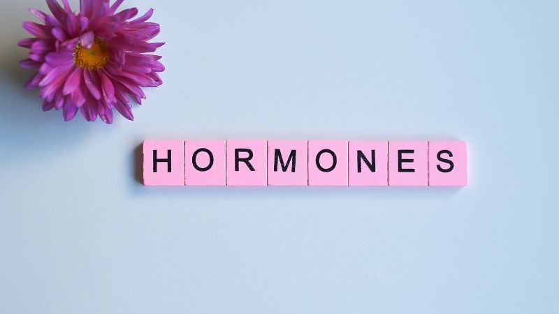 Vitamin E có vai trò quan trọng trong việc duy trì cân bằng hormone trong cơ thể