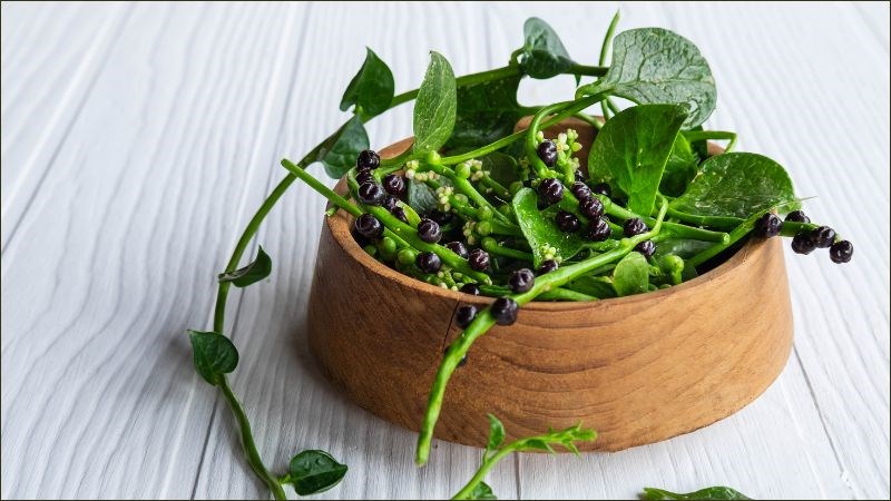 Bài thuốc canh mồng tơi chân giò giúp trị đau nhức xương khớp hiệu quả