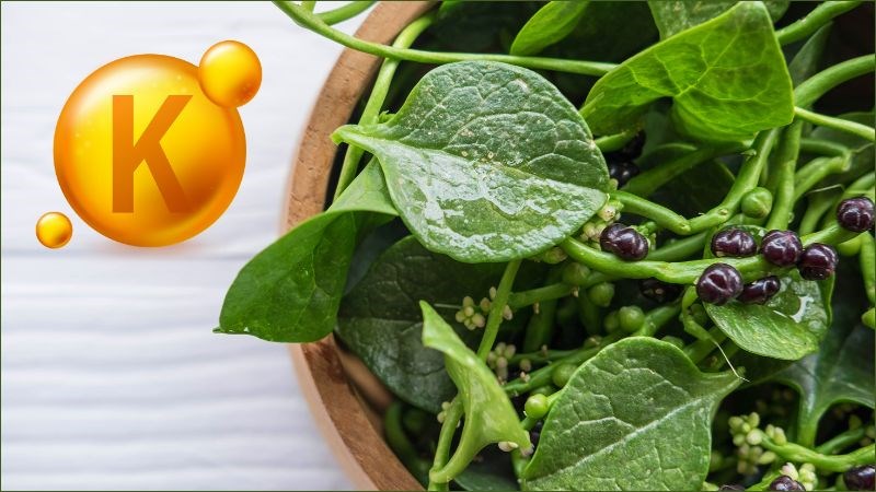 Trong rau mồng tơi có chứa nhiều vitamin K giúp ngăn ngừa tình trạng loãng xương