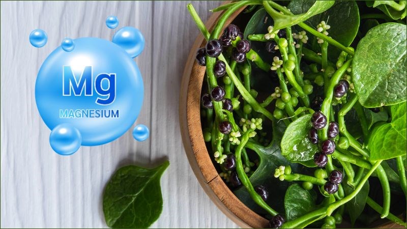 Sử dụng rau mồng tơi giúp bổ sung lượng magie cần thiết để bảo vệ sức khỏe xương