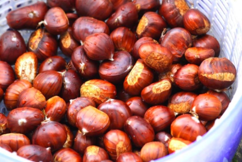 answer-the-question-of-whether-pregnant-women-can-eat-chestnuts-and-note