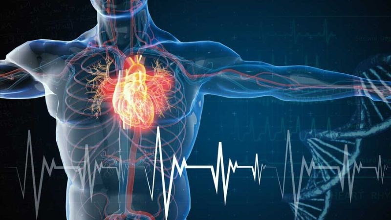Hẹp van động mạch chủ nặng có thể dẫn đến suy tim Hẹp van động mạch chủ nặng có thể dẫn đến suy tim