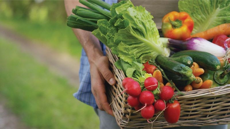 Ăn nhiều rau xanh có thể giúp hạn chế nguy cơ mắc thoái hóa điểm vàng Ăn nhiều rau xanh có thể giúp hạn chế nguy cơ mắc thoái hóa điểm vàng