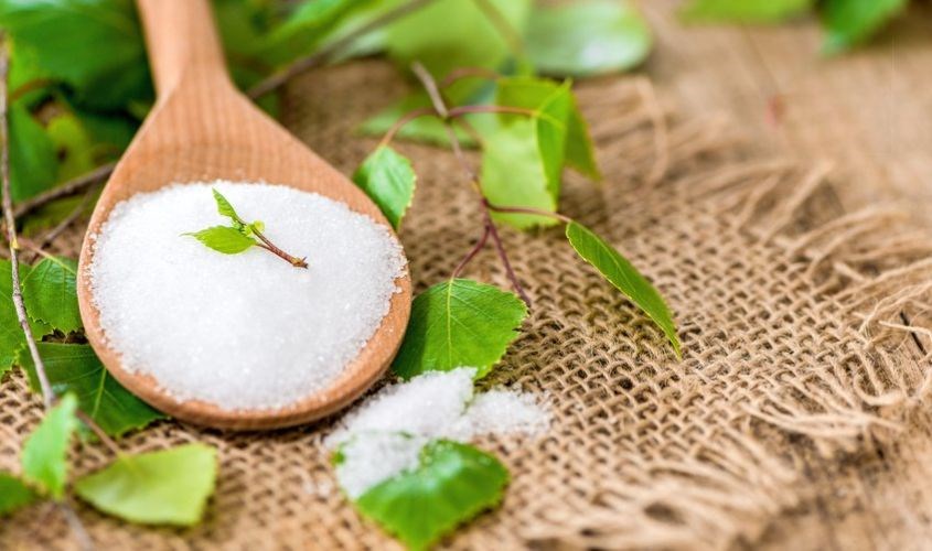 cỏ ngọt và xylitol