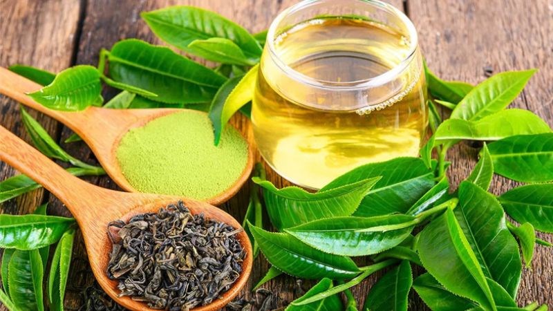 Uống nước trà xanh có thể kháng khuẩn, cầm máu hiệu quả