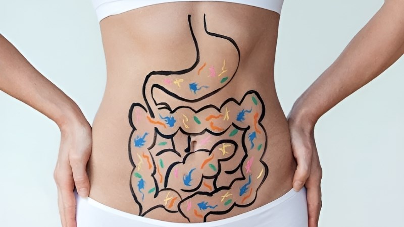 Chuối tiêu chứa nhiều lượng chất xơ và pectin, giúp hệ tiêu hóa khỏe và cải thiện triệu chứng táo bón